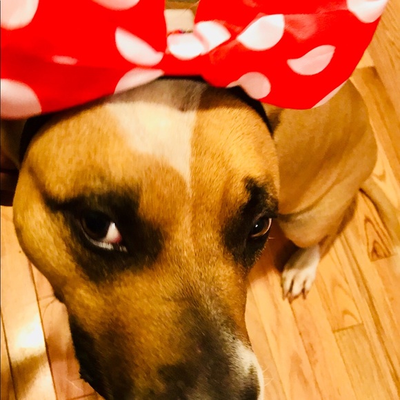 Meet your Posher, Karen - Picture 5 of 8